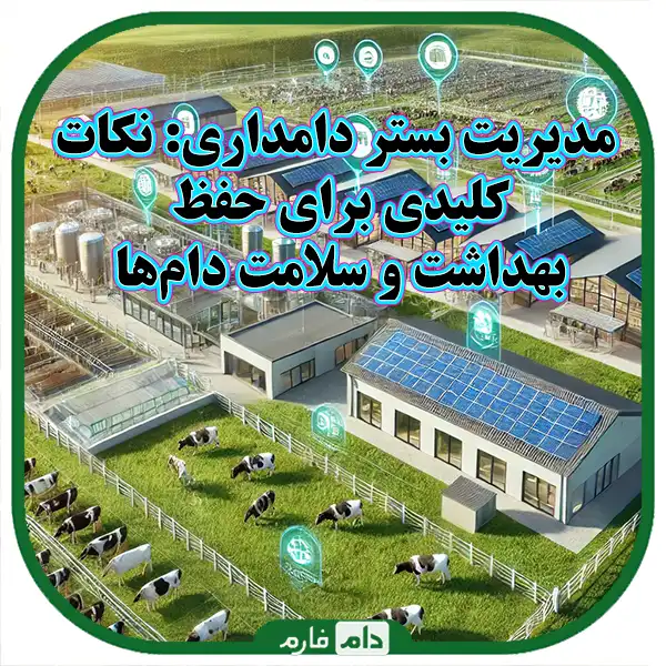 The-stages-of-construction-and-management-of-a-suitable-platform-for-animal-husbandry