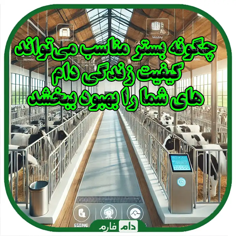مراحل_ساخت_و_مدیریت_بستر_مناسب_برای_دامداری