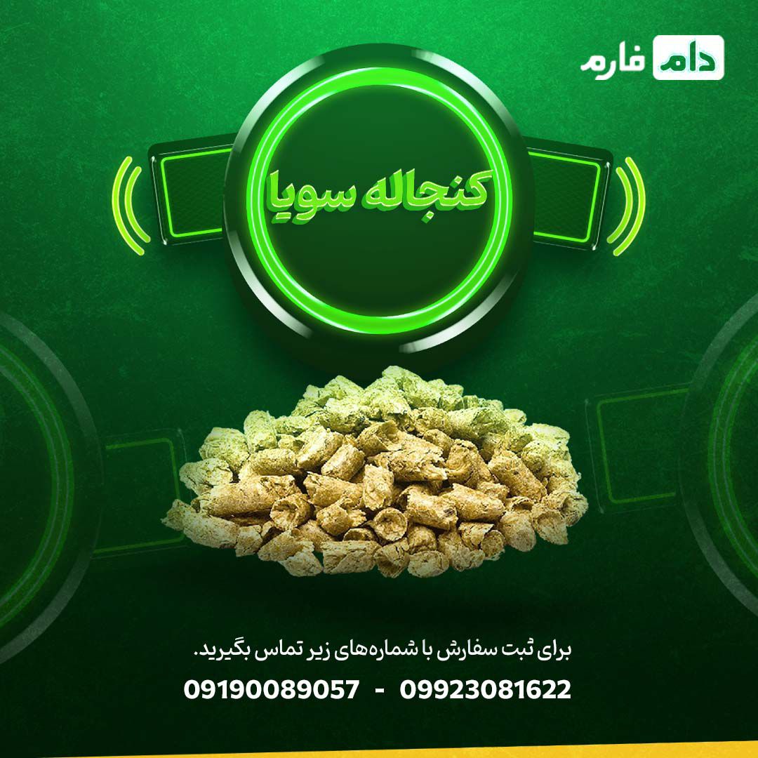 فروش_کنجاله_سویا_از_دام_فارم_:_بهترین_انتخاب_برای_تغذیه_دام_و_طیور