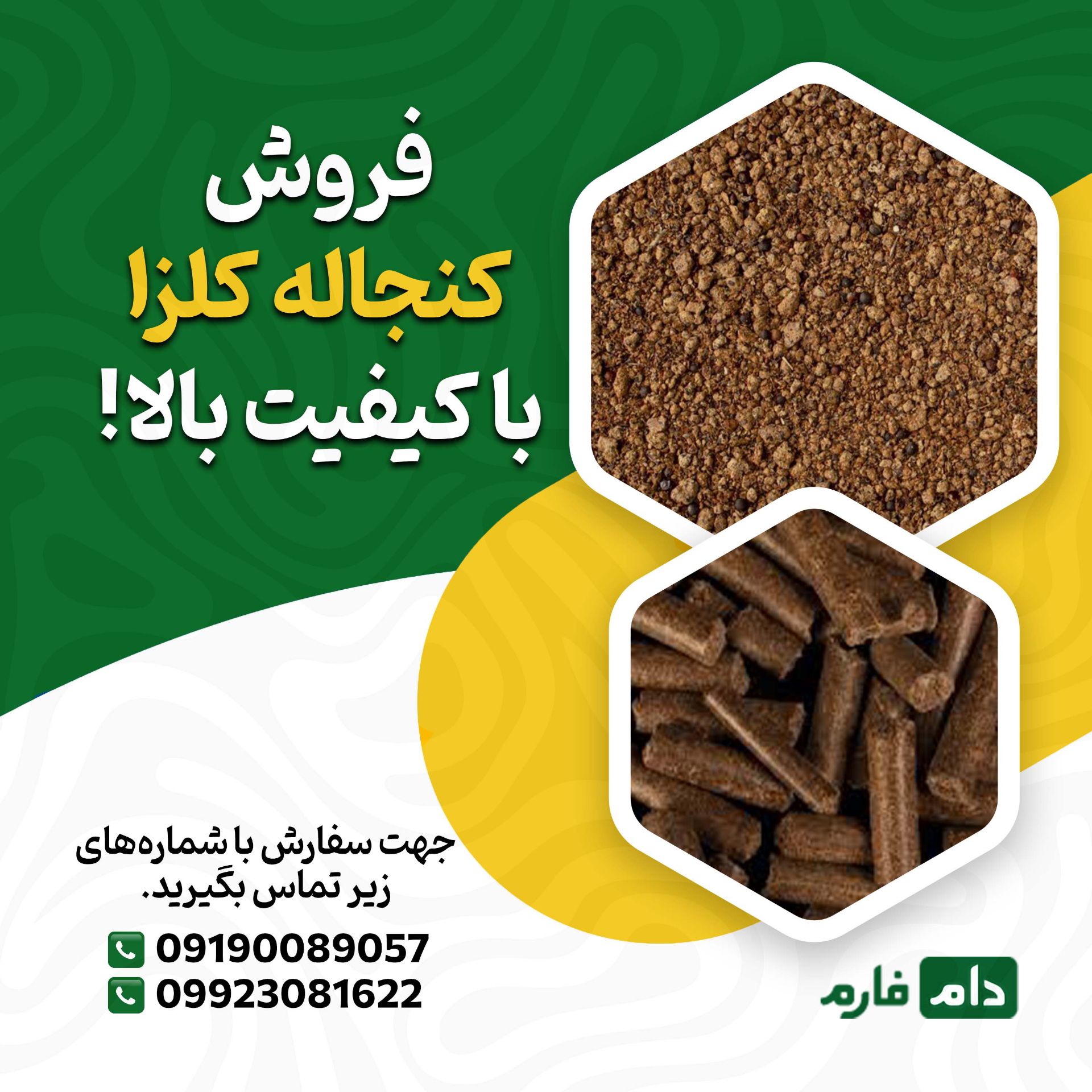 فروش_کنجاله_کلزا_از_دام_فارم_|_با_کیفیت‌ترین_نهاده_دامی_برای_دامپروران