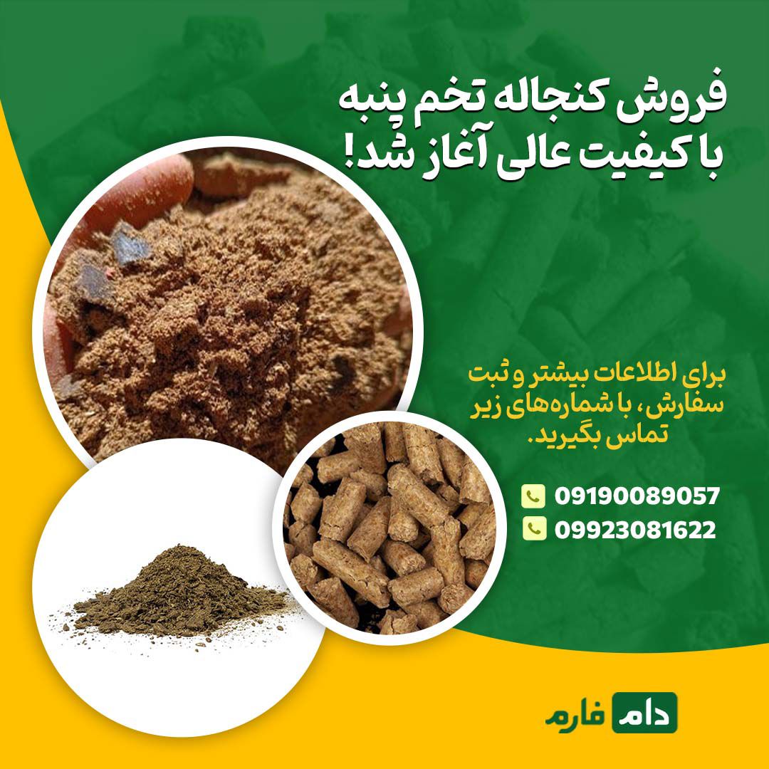 فروش_کنجاله_تخم_پنبه_باکیفیت_از_دام_فارم