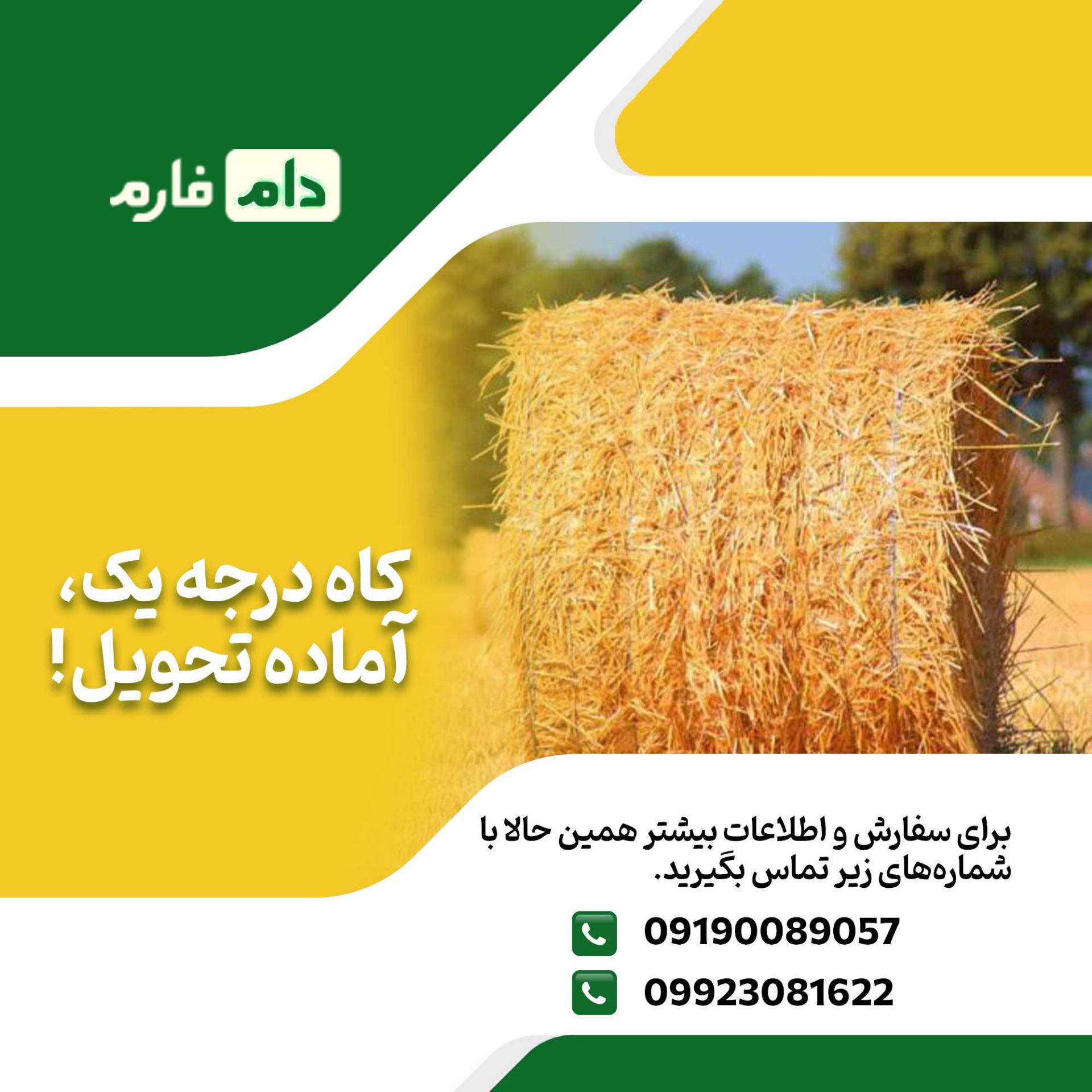 فروش_کاه_با_کیفیت_از_دام_فارم_