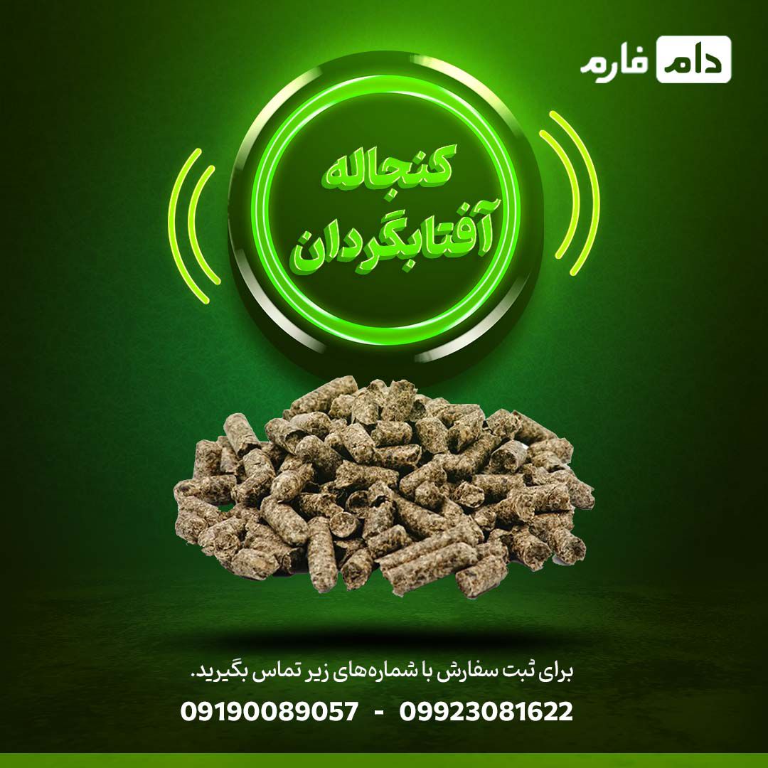فروش_کنجاله_آفتابگردان_با_کیفیت_|_دام_فارم