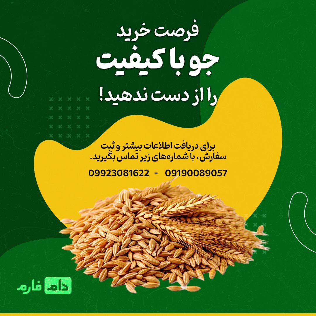 فروش_جو_مرغوب_برای_تغذیه_جوجه‌ها_و_دام‌ها_