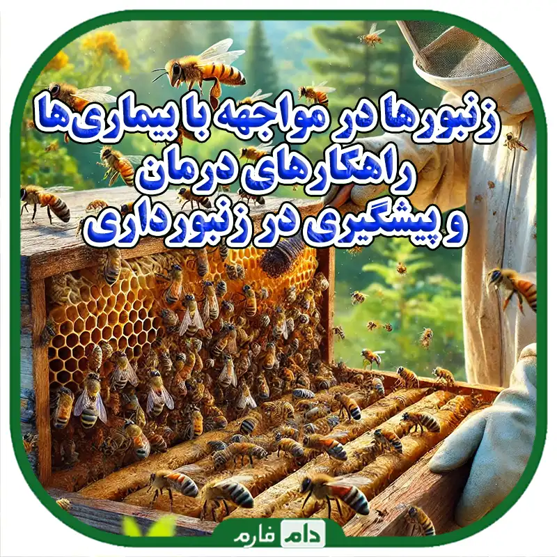 بیماری_های_زنبور_عسل_و_روشهای_درمان_بیماری_ها