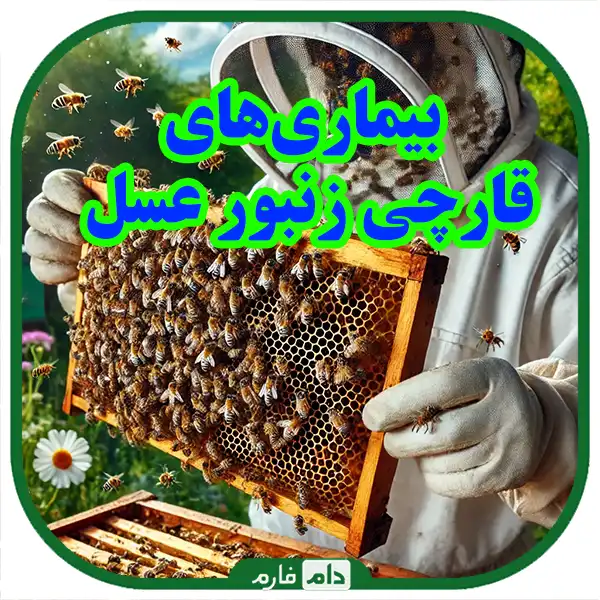 Bee-diseases-and-treatment-methods:-a-comprehensive-guide-for-beekeepers