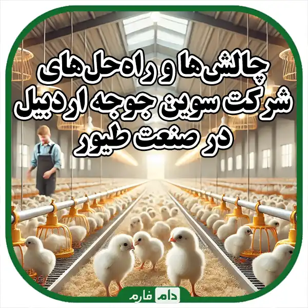 Ardabil-Swin-Chicken-Co