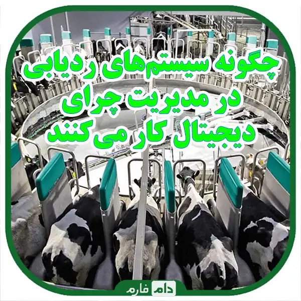 Digital-Grazing-Management:-Using-Tracking-Systems-and-Data-Analysis-in-the-Livestock-Industry