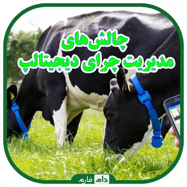 Digital-Grazing-Management:-Using-Tracking-Systems-and-Data-Analysis-in-the-Livestock-Industry