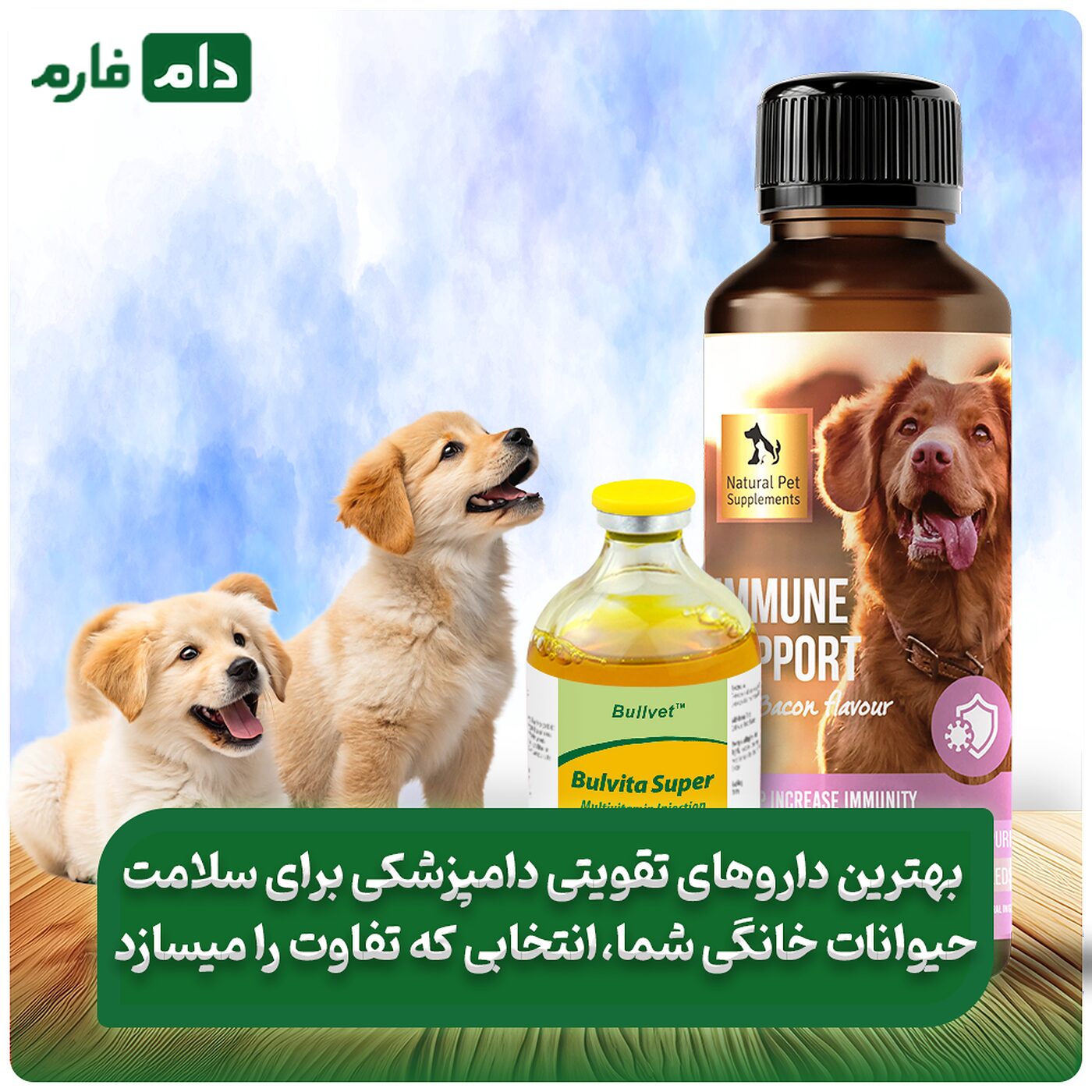 بهترین_داروهای_تقویتی_دامپزشکی_برای_حیوانات_خانگی