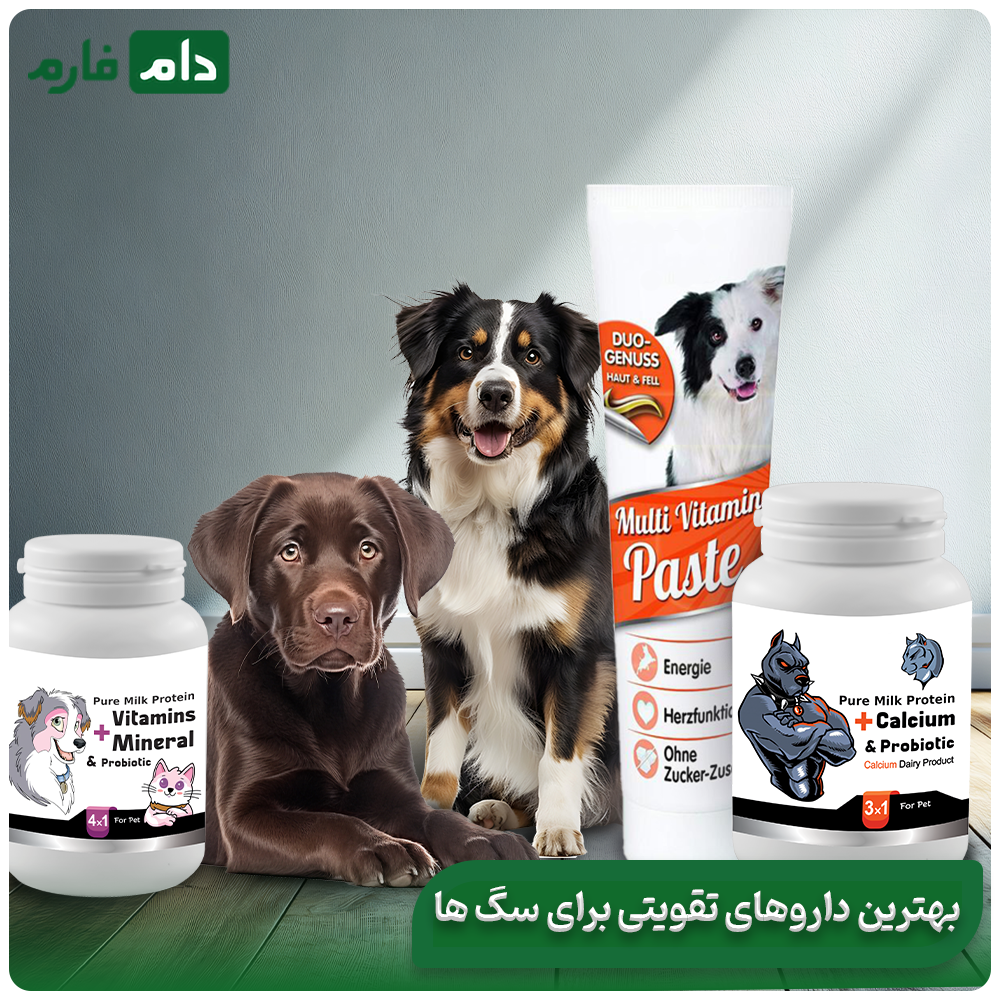The-best-veterinary-supplements-for-animals