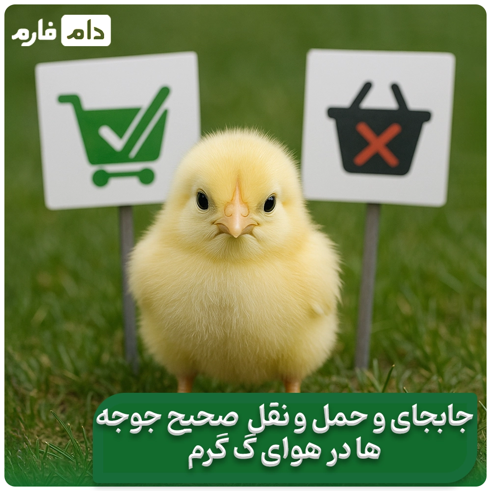 5-ways-to-keep-and-raise-chickens-in-the-heat-and-summer