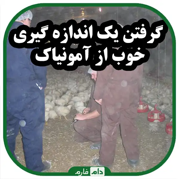 Ammonia-control-in-chicken-farms-using-inexpensive-tools