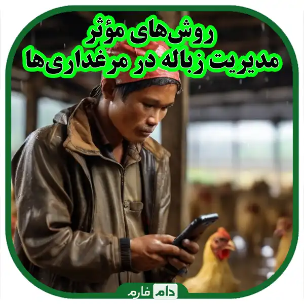 Correct-management-of-health-and-waste-in-day-old-chicken-farms