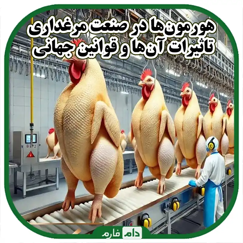 استفاده_از_هورمون_ها_در_پرورش_مرغ_گوشتی