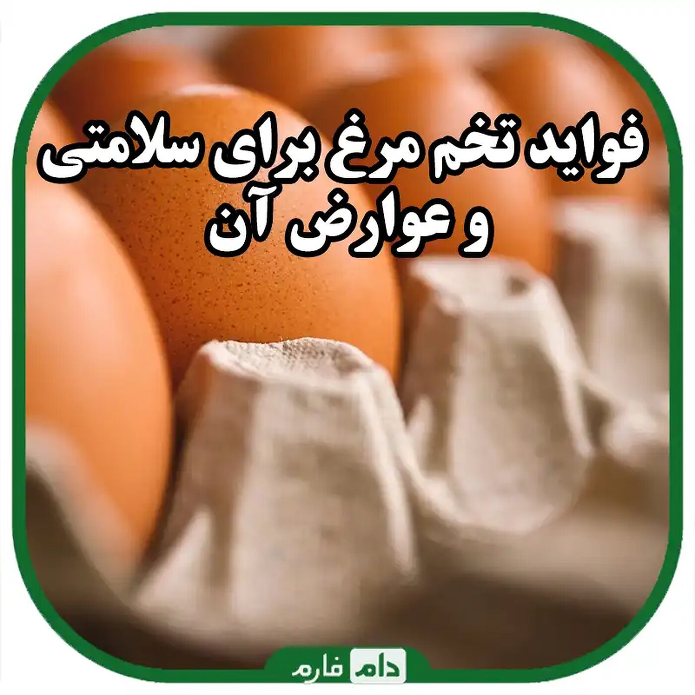 فواید_تخم_مرغ_برای_سلامتی_و_عوارض_آن