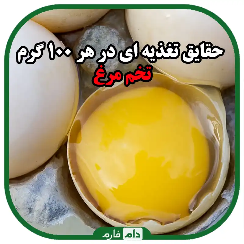 The-benefits-of-eggs-for-health-and-its-side-effects