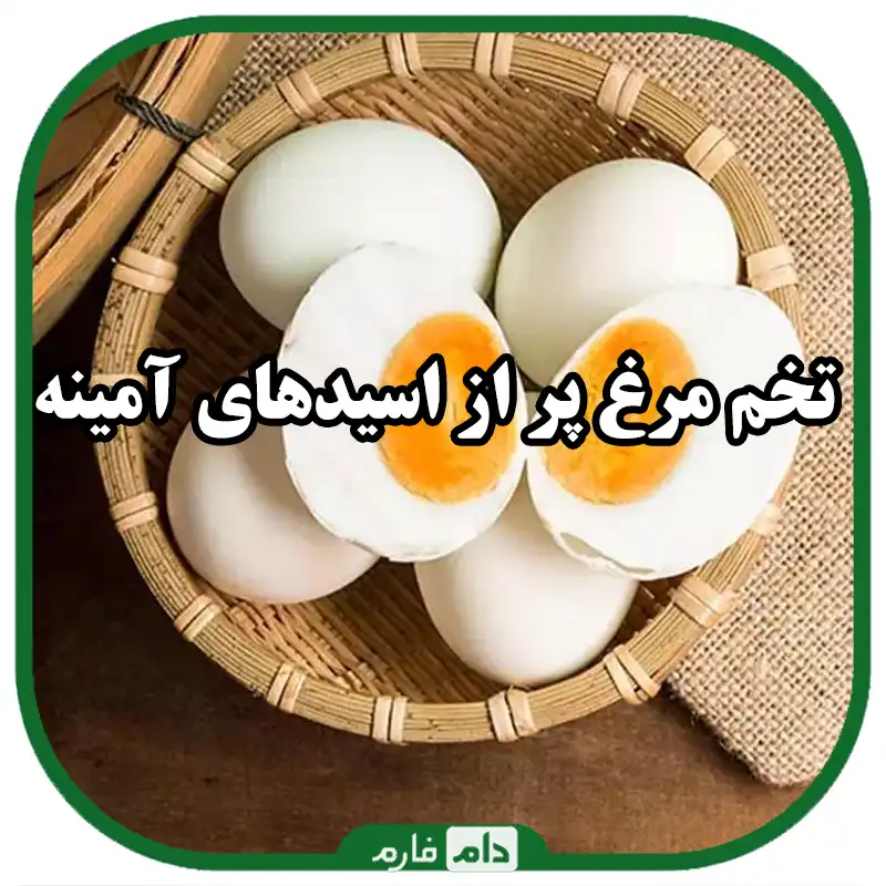 The-benefits-of-eggs-for-health-and-its-side-effects