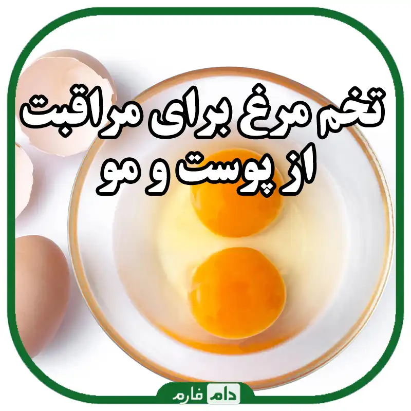 The-benefits-of-eggs-for-health-and-its-side-effects