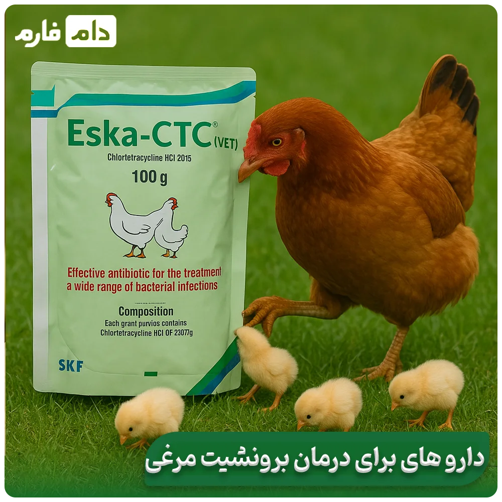 Suitable-drugs-for-the-treatment-of-chicken-bronchitis-in-day-old-chicks