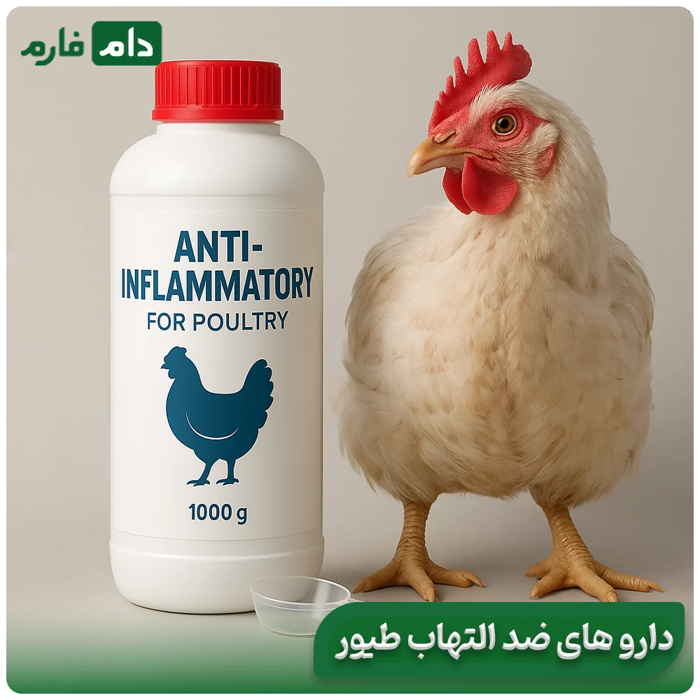 Suitable-drugs-for-the-treatment-of-chicken-bronchitis-in-day-old-chicks