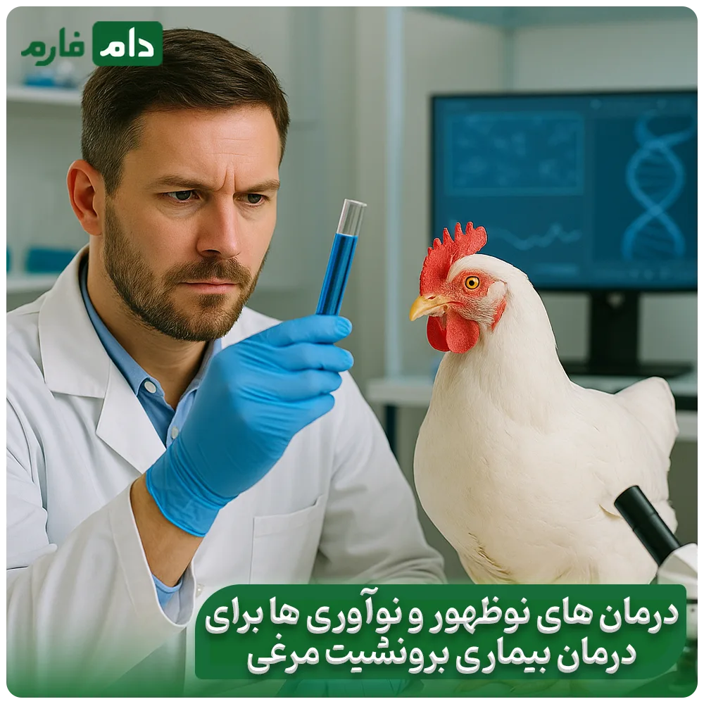 Suitable-drugs-for-the-treatment-of-chicken-bronchitis-in-day-old-chicks