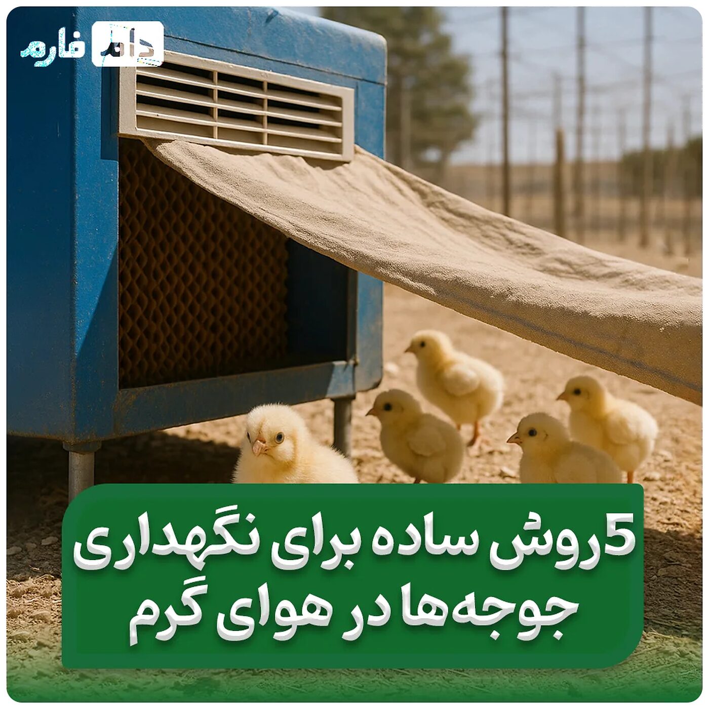 5_سیستم_سرمایشی_مدرن_و_ارزان_در_مرغداری_برای_گرمای_تابستان_