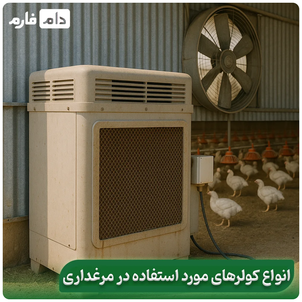 5-ways-to-keep-and-raise-chickens-in-the-heat-and-summer