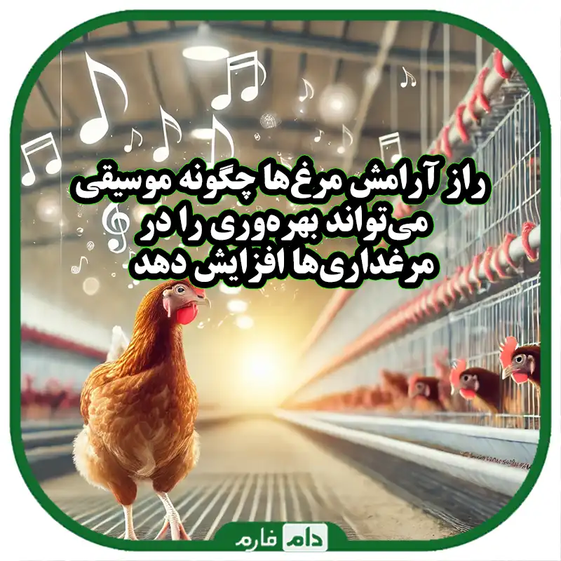 موسیقی،_راهی_نوین_برای_آرامش_مرغ‌ها