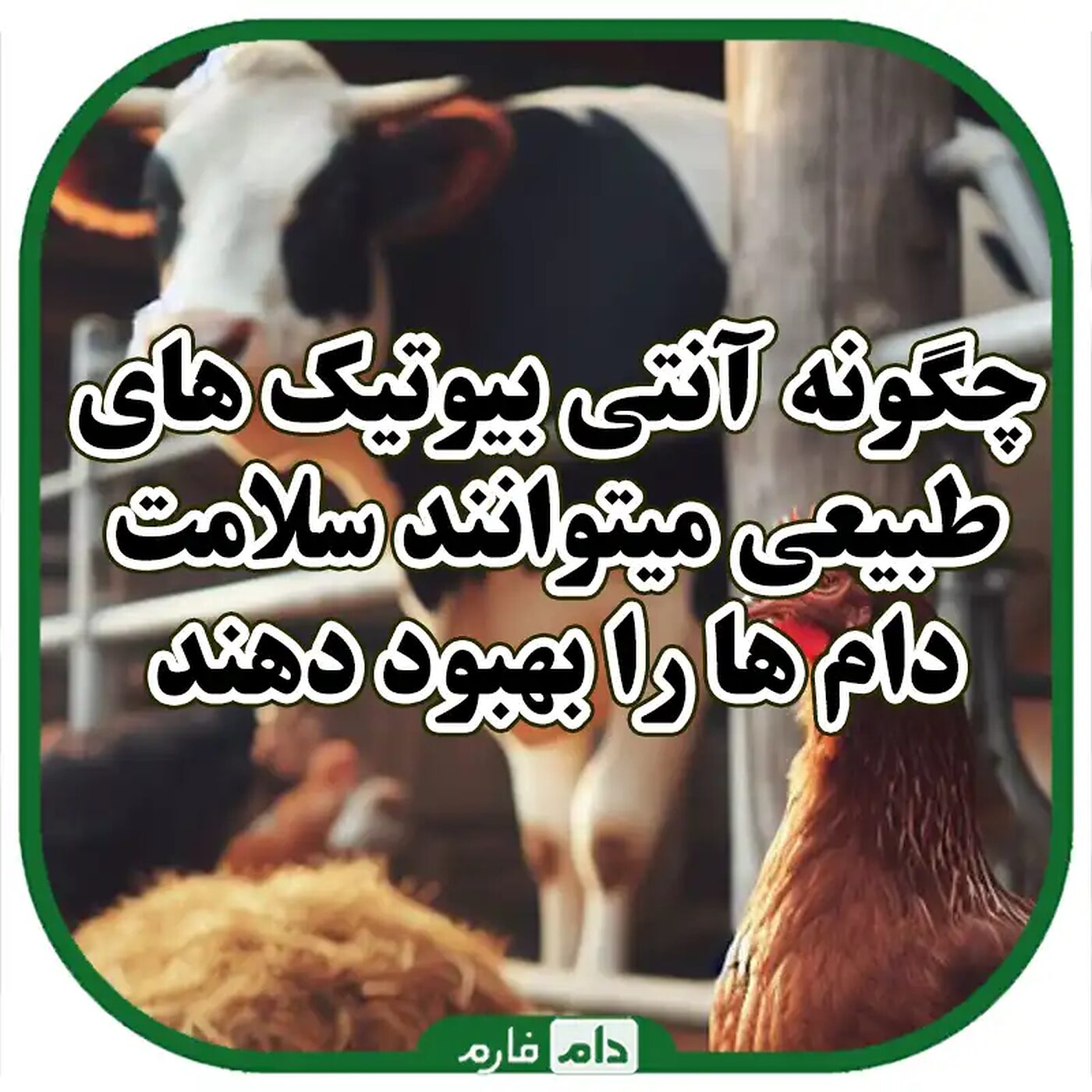آنتی‌بیوتیک‌های_طبیعی_در_دام‌ها:_راه‌حل‌های_موثر_برای_بهبود_سلامت_دام‌ها