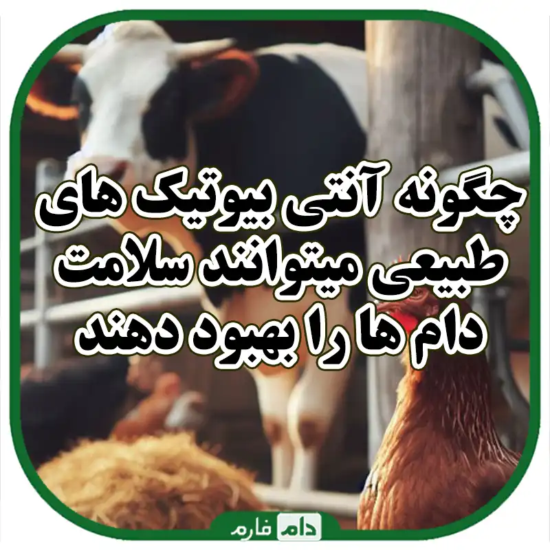 آنتی‌بیوتیک‌های_طبیعی_در_دام‌ها:_راه‌حل‌های_موثر_برای_بهبود_سلامت_دام‌ها