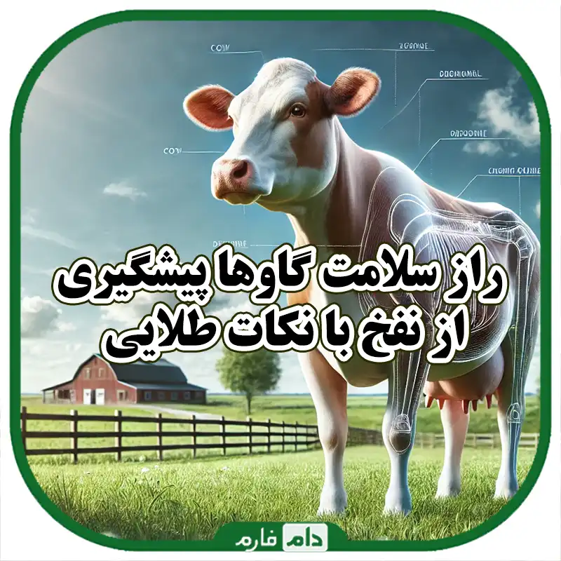 علایم_و_دلایل_نفخ_در_گاوها_و_راه‌های_پیشگیری_از_آن