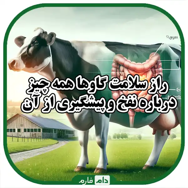 Alim-and-flatulence-in-cows-and-waterways-from-it