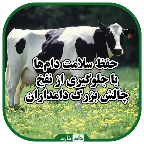 Alim-and-flatulence-in-cows-and-waterways-from-it