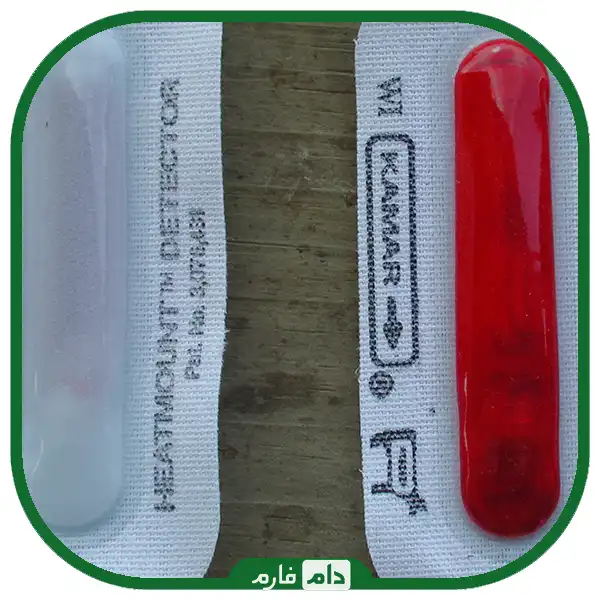 Diagnosis-of-cow-pregnancy