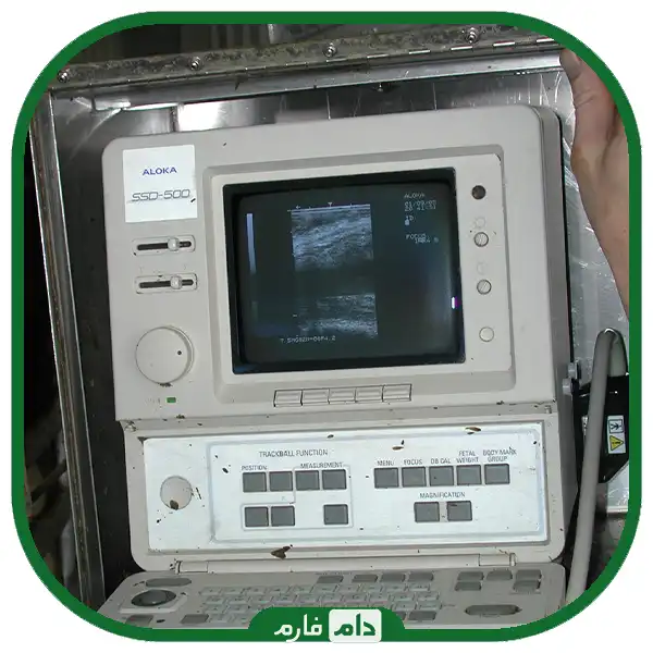 Diagnosis-of-cow-pregnancy