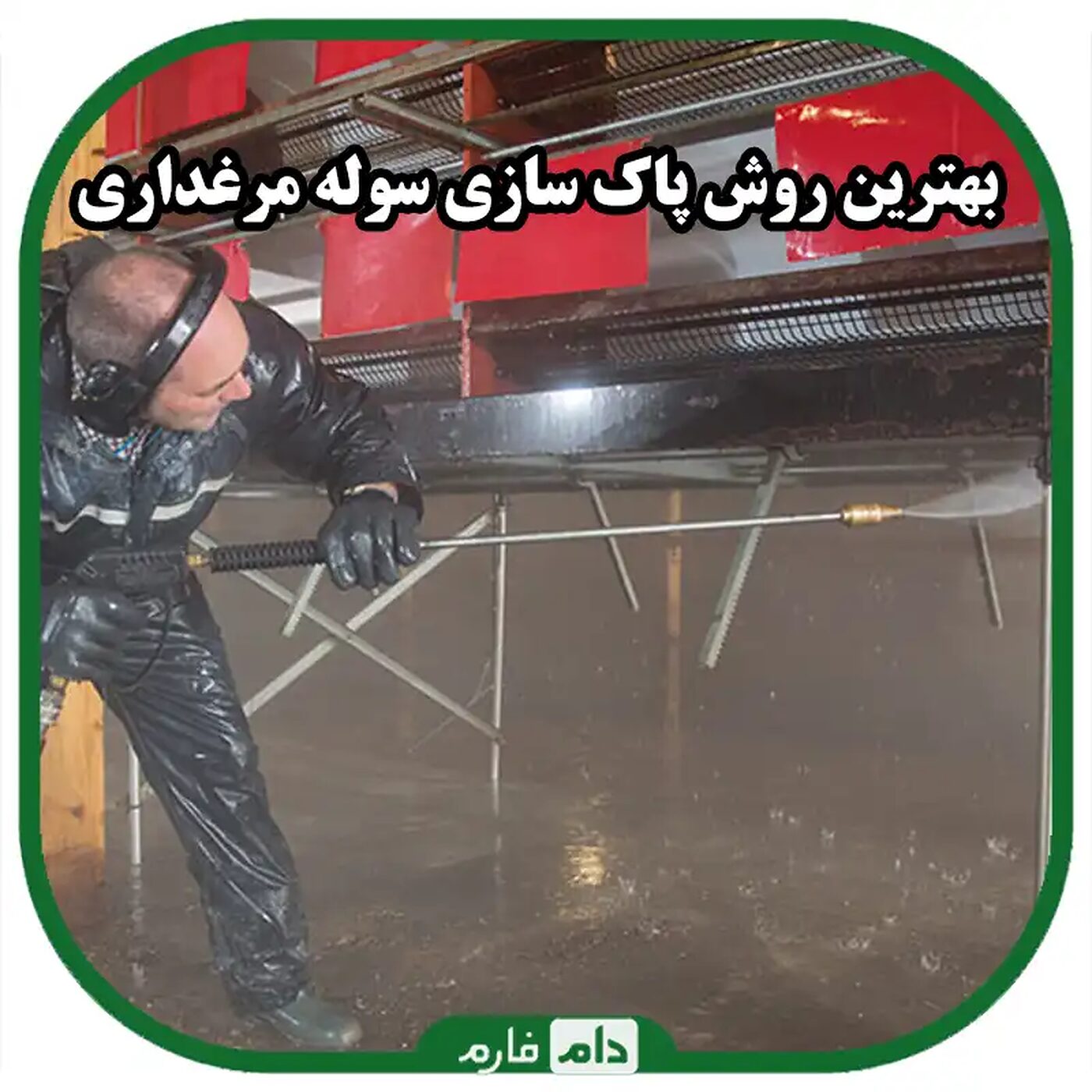 روش_های_پاک_سازی_سالن_مرغداری