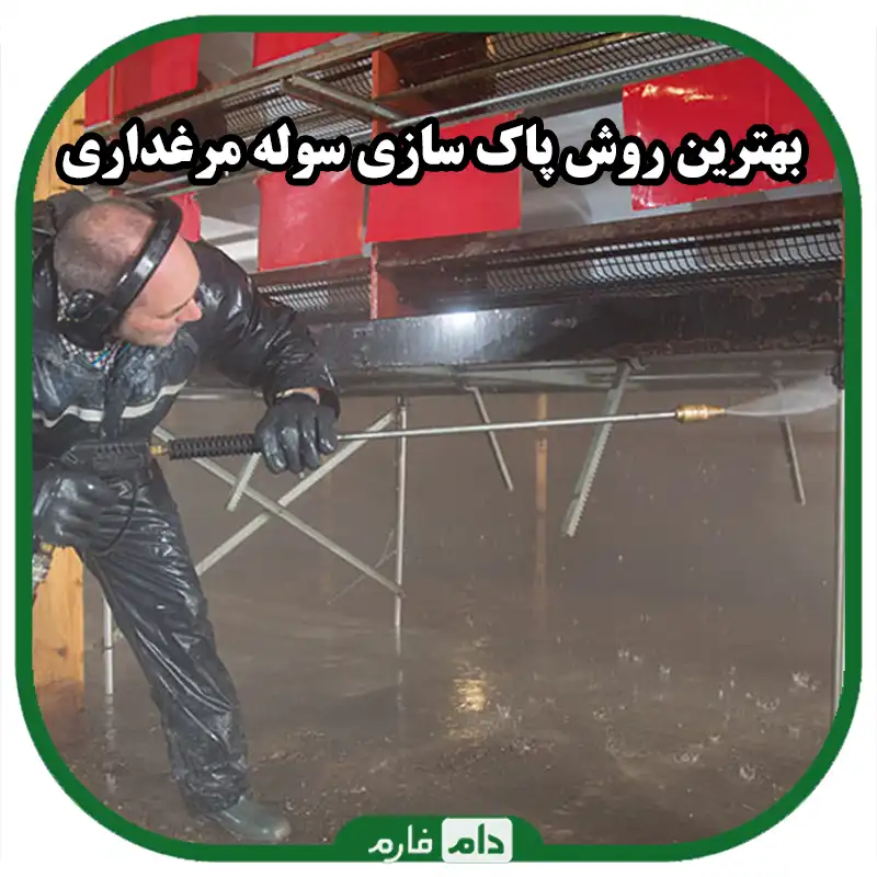 روش_های_پاک_سازی_سالن_مرغداری