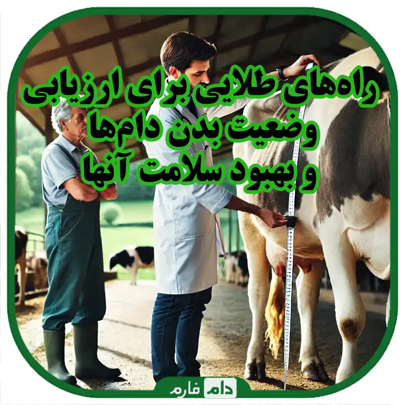 روشهای_ارزیابی_و_بهبود_وضعیت_بدن_دام_ها