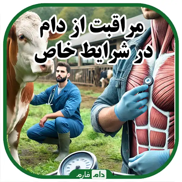 Methods-of-evaluating-and-improving-the-condition-of-livestock