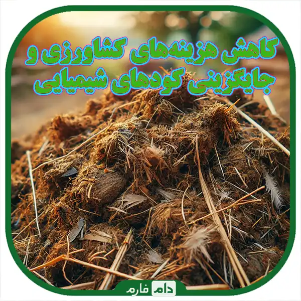 What-is-chicken-manure-and-why-is-it-used-in-agriculture