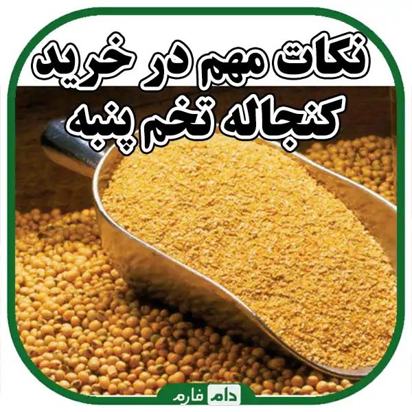 Sale-of-high-quality-cottonseed-meal-from-Dom-Farm