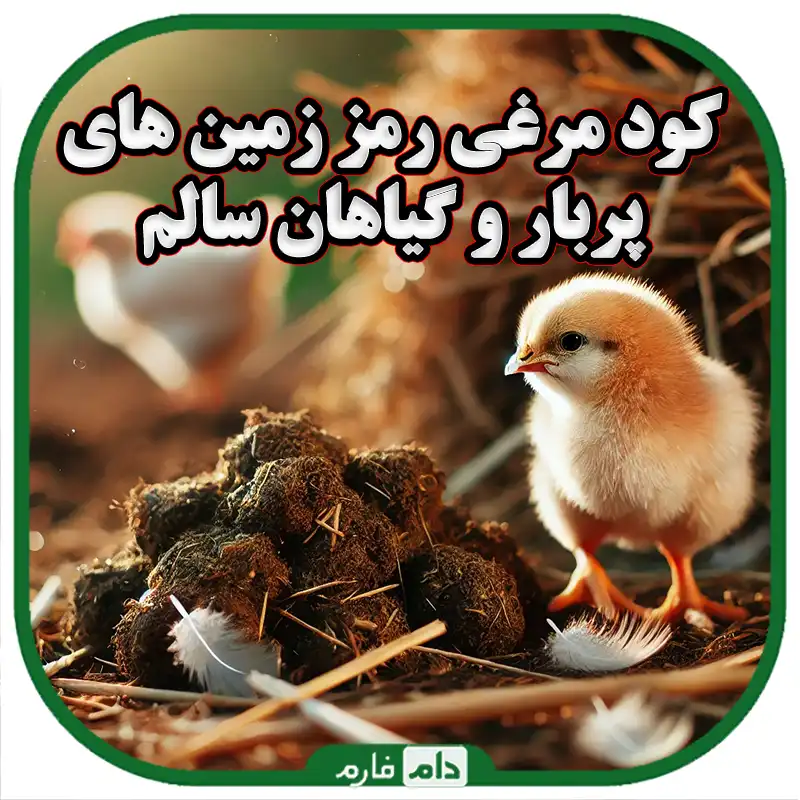 کود_مرغی_چیست_و_چرا_در_کشاورزی_استفاده_می‌شود