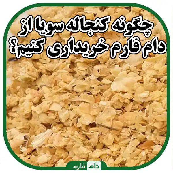 Sale-of-soybean-feeding-livestock-and-poultry