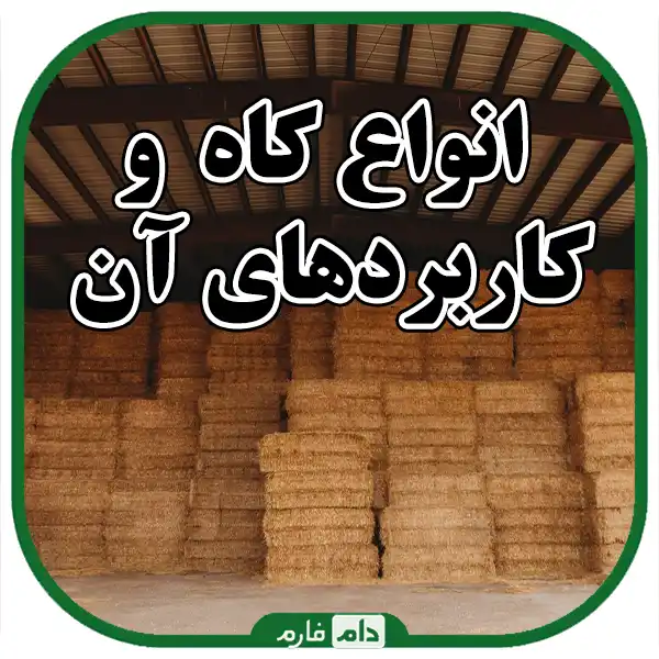 Sale-of-quality-straw