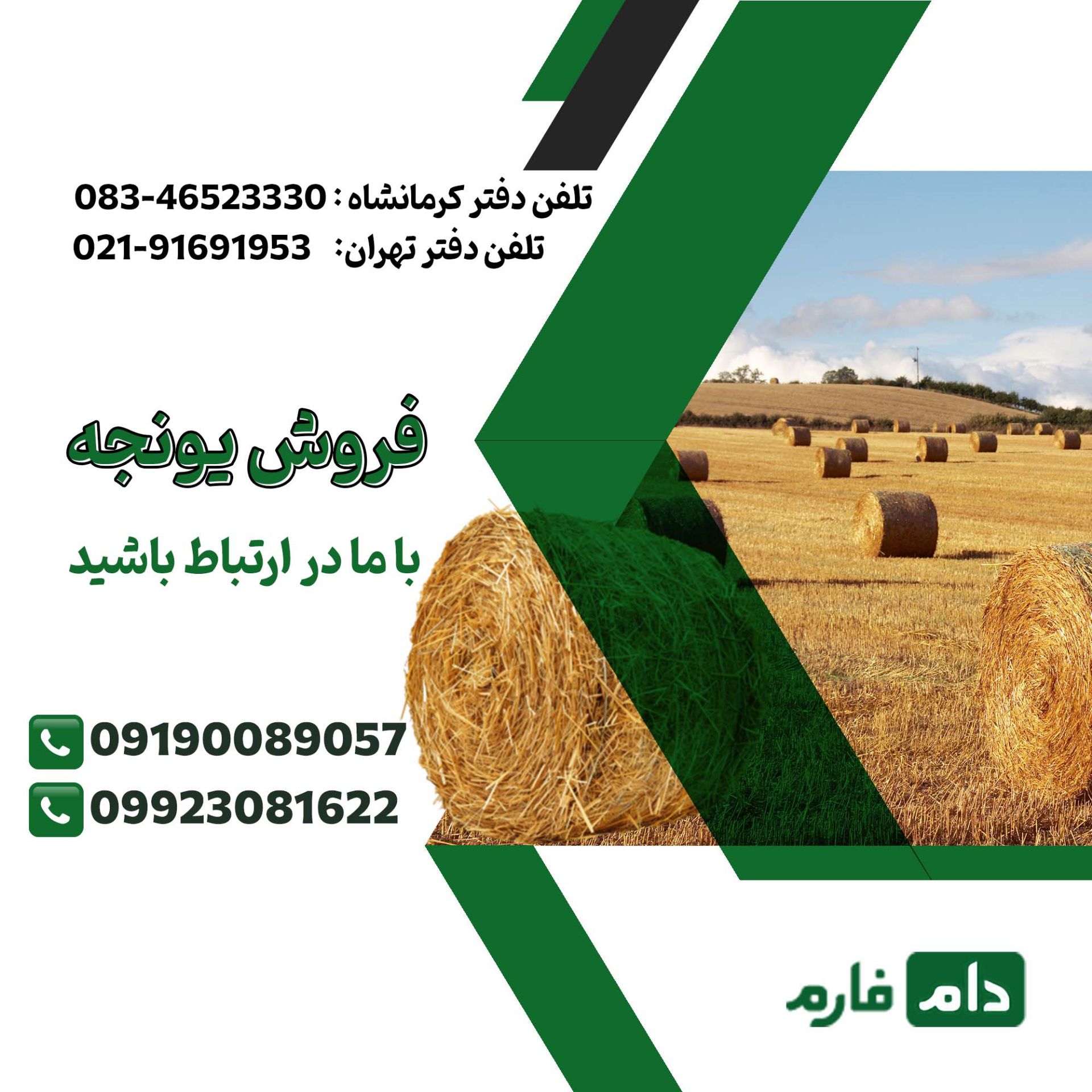 فروش_یونجه_با_کیفیت_از_دام_فارم