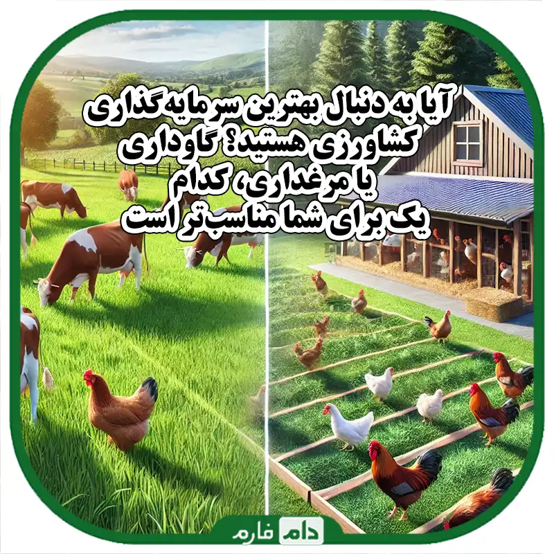 پرورش_دام_یا_طیور_کدام_یک_سوددهی_و_مدیریت_بهتری_دارد