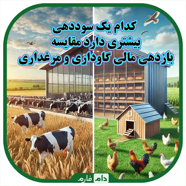 Livestock-or-poultry-farming,-which-one-has-better-profitability-and-management