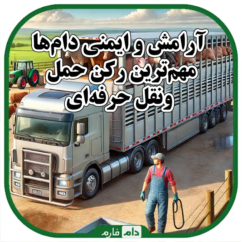 چند_تا_از_بهترین_روش‌ها_برای_نگهداری_و_حمل‌ونقل_ایمن_دام‌ها