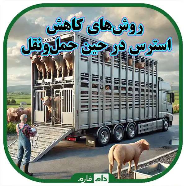 Best-practices-for-keeping-and-transporting-animals-safely